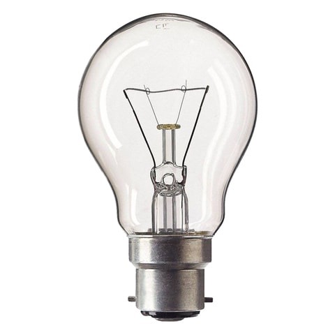 PEG ORDINARY BULB 100W